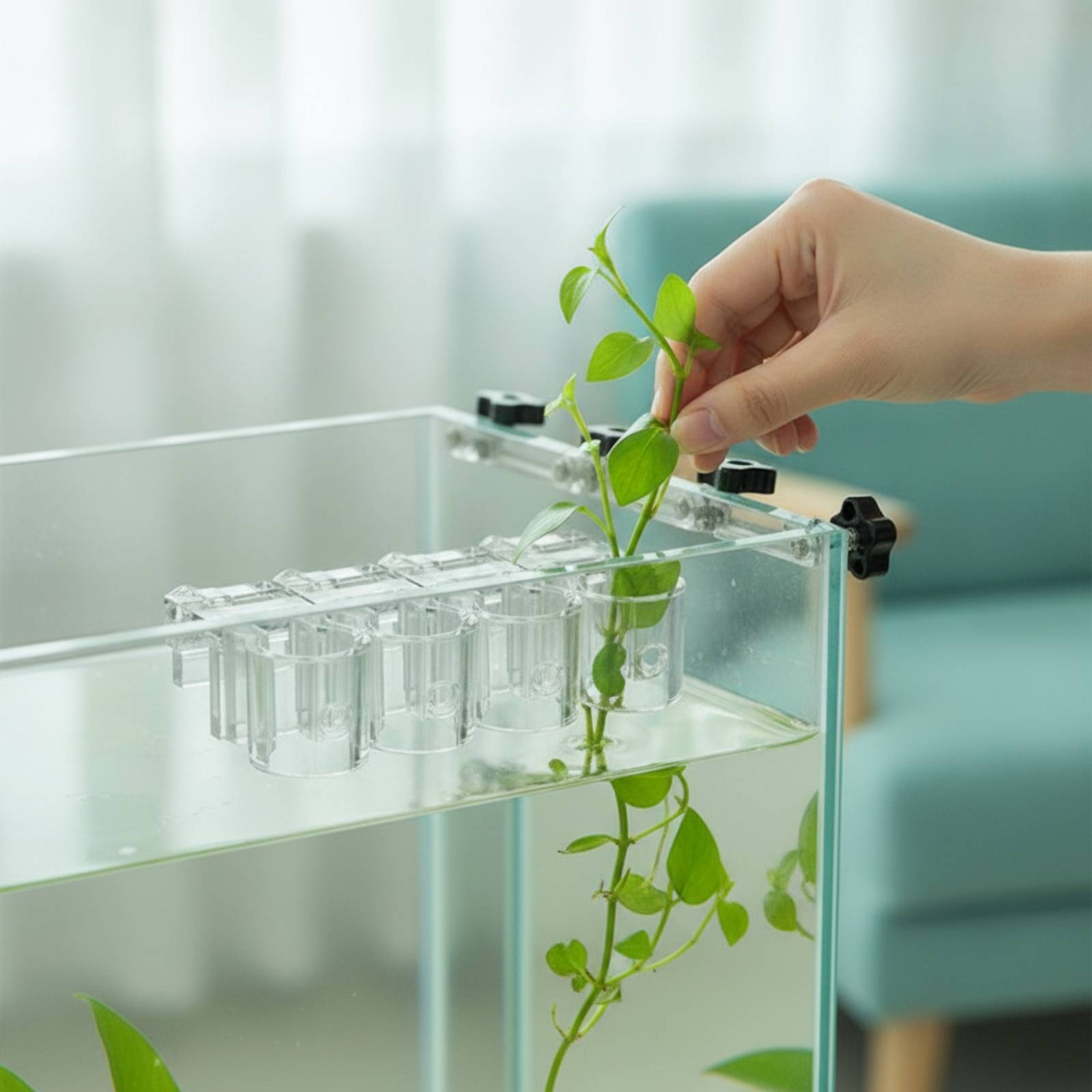 6個入り水槽プランター クリア水耕栽培サポートクリップ ネジ - Aquarium Plants のレビューと価格