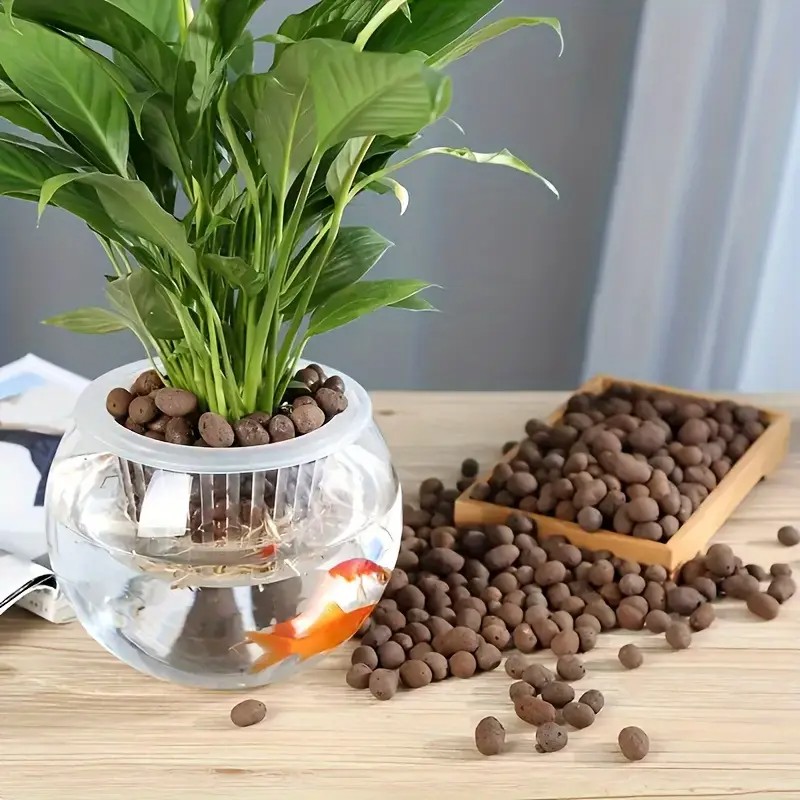 水族館の装飾、水草栽培、多肉植物、盆栽用の軽量で通気性のある - Aquarium Plants のレビューと価格