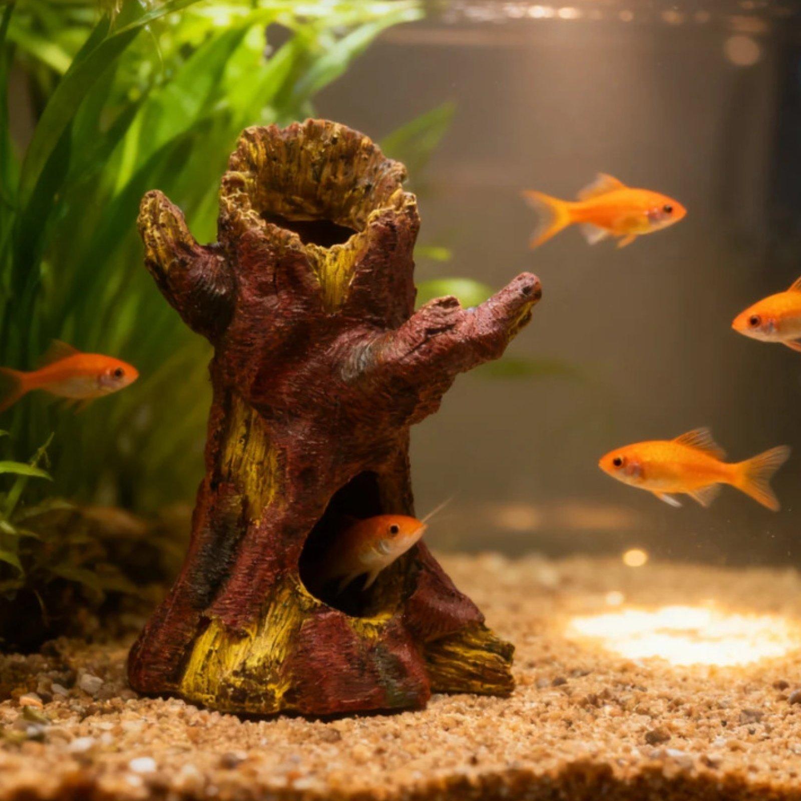 水槽の景観装飾、水槽デコレーション、樹脂製の木の幹のシェルタ - Aquarium Decor のレビューと価格