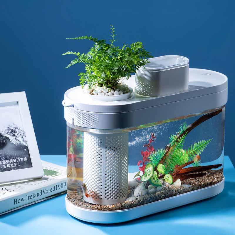 スマート水槽xiaomi mijiaミホームアプリ水陸両用エ - Xiaomi Aquarium Fish Tank のレビューと価格