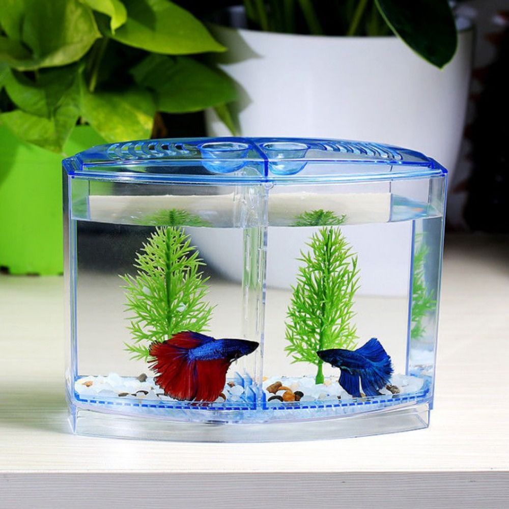 透明なベタフィッシュタンク、二重グリッドロンバスゴッピー水族 - Betta Fish Tank のレビューと価格