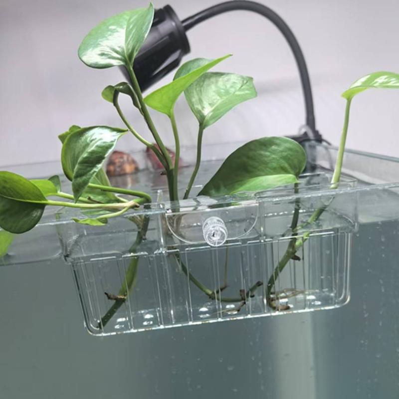 水耕栽培用植物バスケット 食品グレード 水生植物ホルダー 1 - Aquarium Plants のレビューと価格