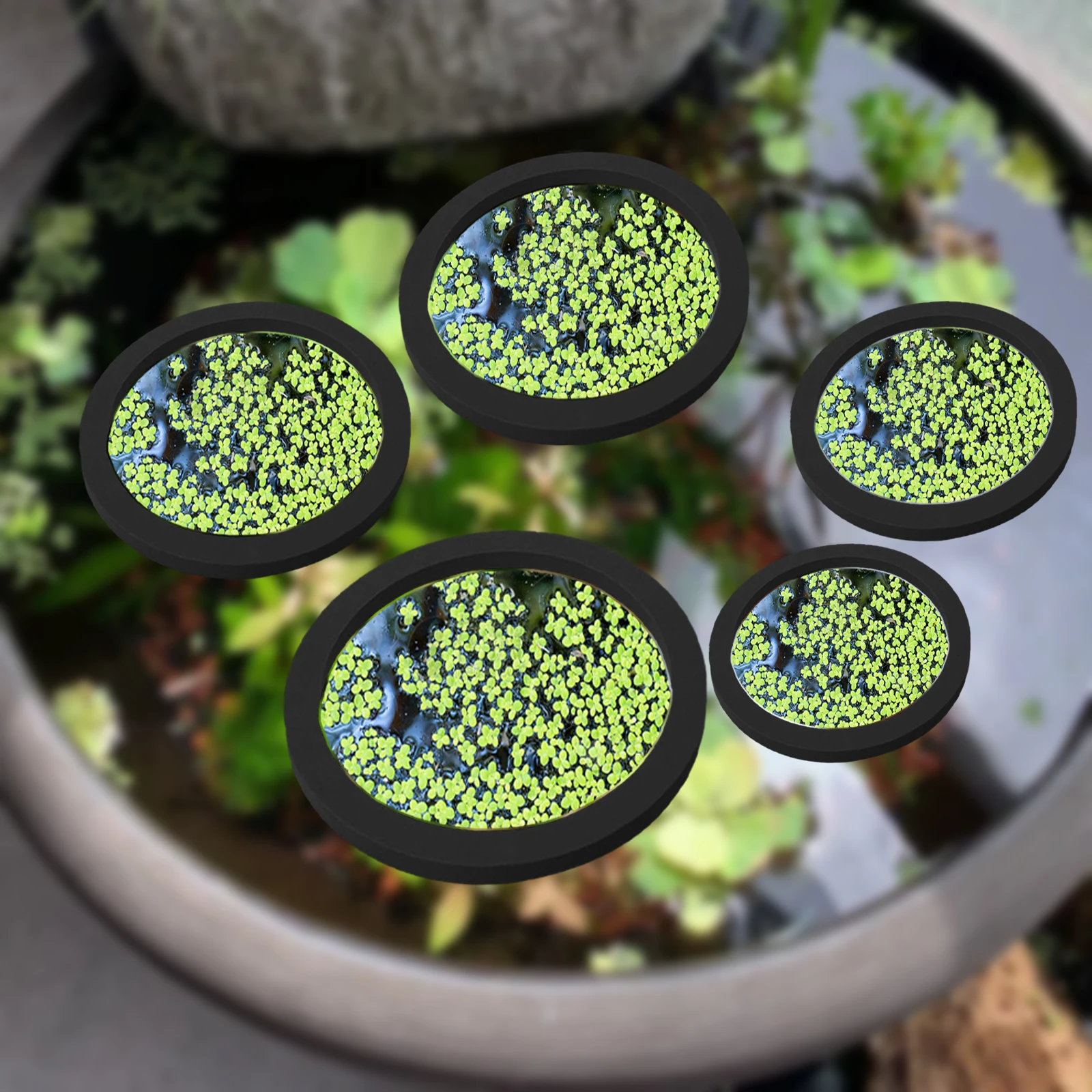 5 個 EVA 魚給餌リング水族館浮遊植物囲い水槽フロート植 - Aquarium Plants のレビューと価格