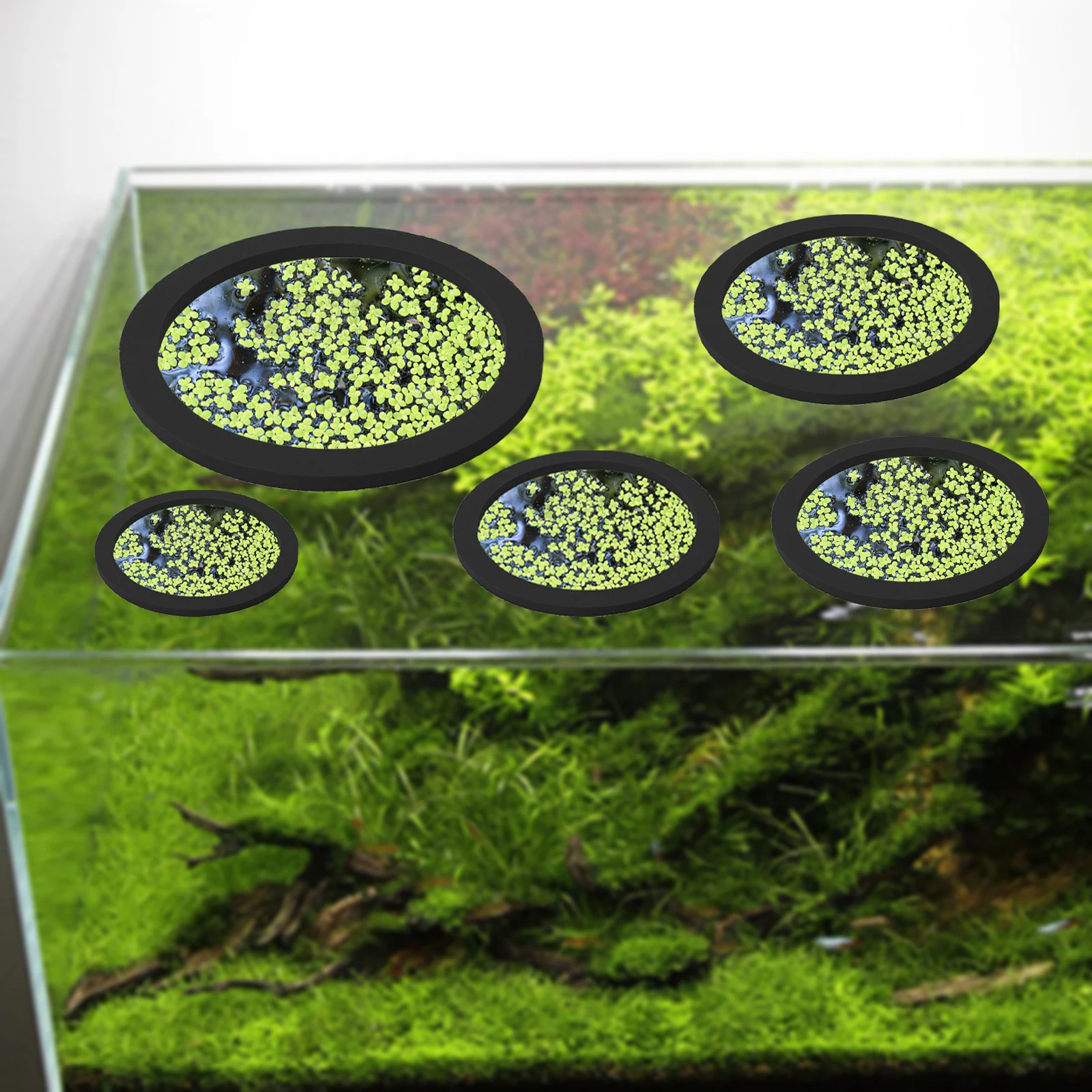 5 個 EVA 魚給餌リング水族館浮遊植物囲い水槽フロート植 - Aquarium Plants のレビューと価格
