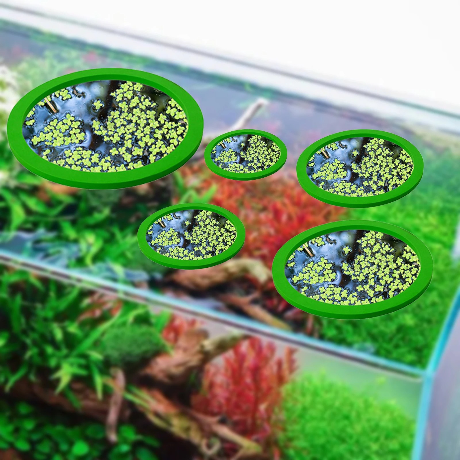 5 個 EVA 魚給餌リング水族館浮遊植物囲い水槽フロート植 - Aquarium Plants のレビューと価格