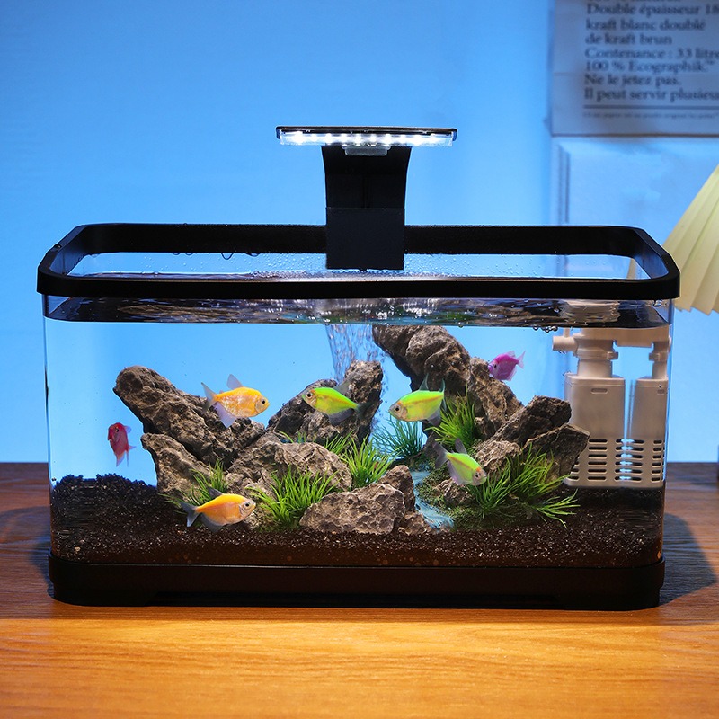 卓上水槽循環フィルター付きアクアリウム、静音エコ水槽、家庭装 - Fish Aquarium Home のレビューと価格