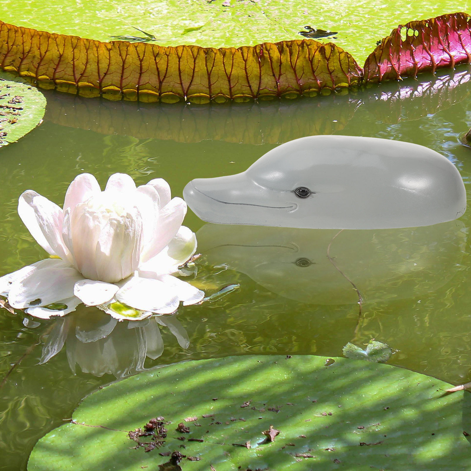 水槽、庭、バルコニー、机の上、中庭などに飾るのに最適な、高級 - Aquarium Decor のレビューと価格